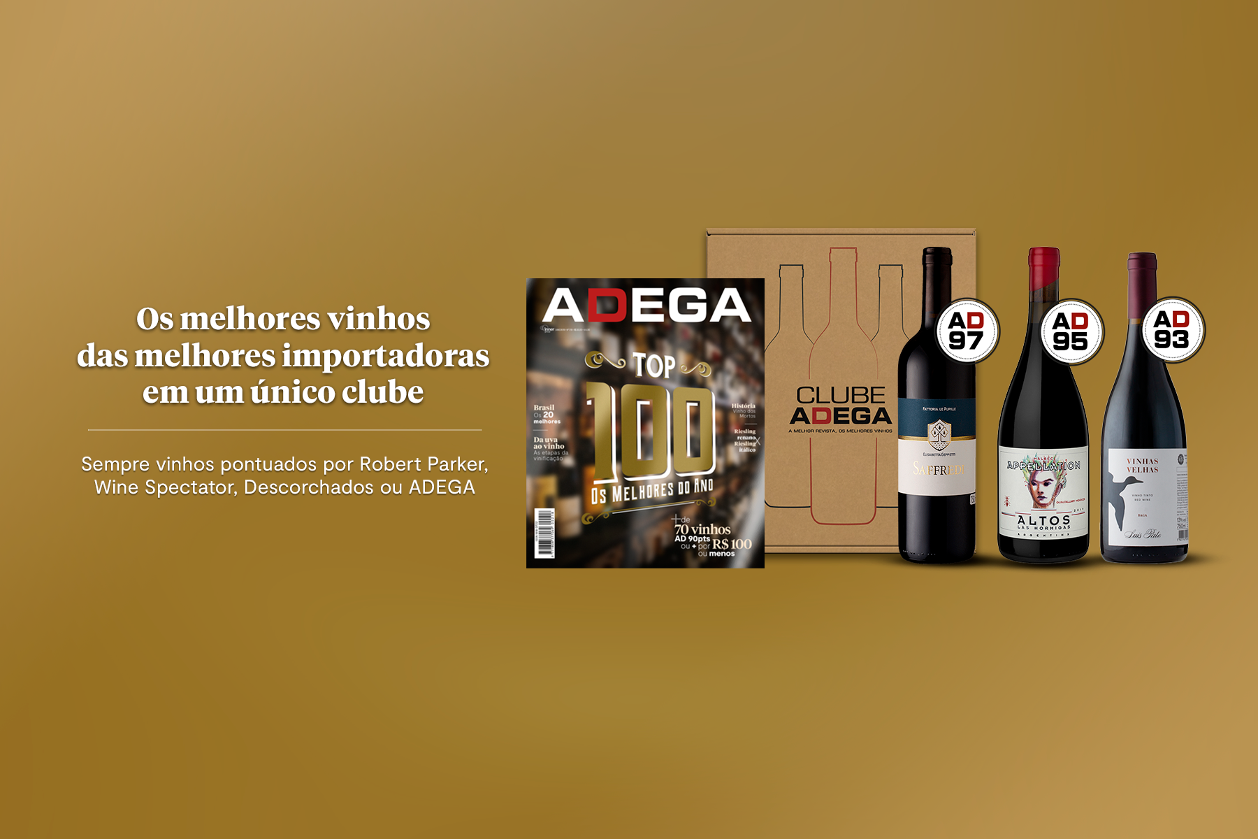 Categoria Icon 15/11/2023 · Clube ADEGA