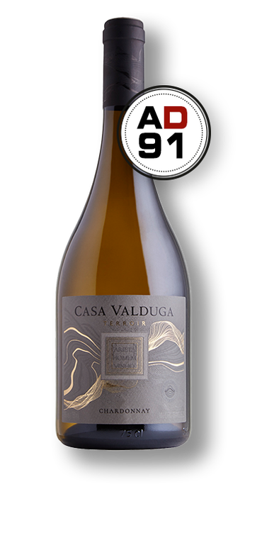 Casa Valduga Terroir Chardonnay 2021