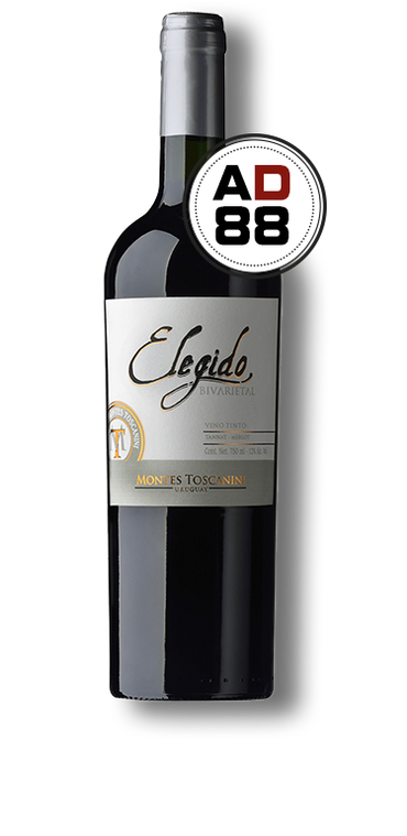 Elegido Bivarietal Tannat Merlot 2021