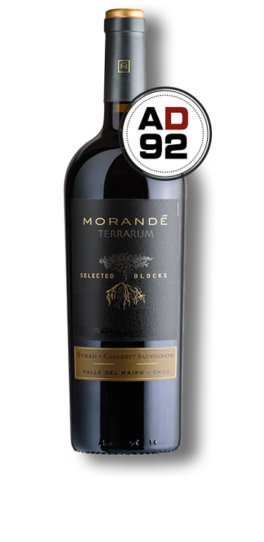 Morandé Terrarum Selected Blocks Syrah Cabernet Sauvignon 2019